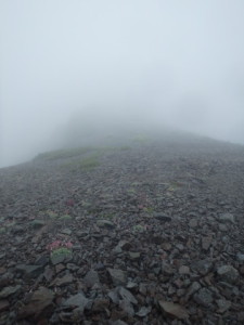 霧に巻かれる蓮華岳への登り